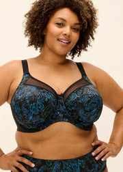 GD6162 Kayla U/W Banded - 12649