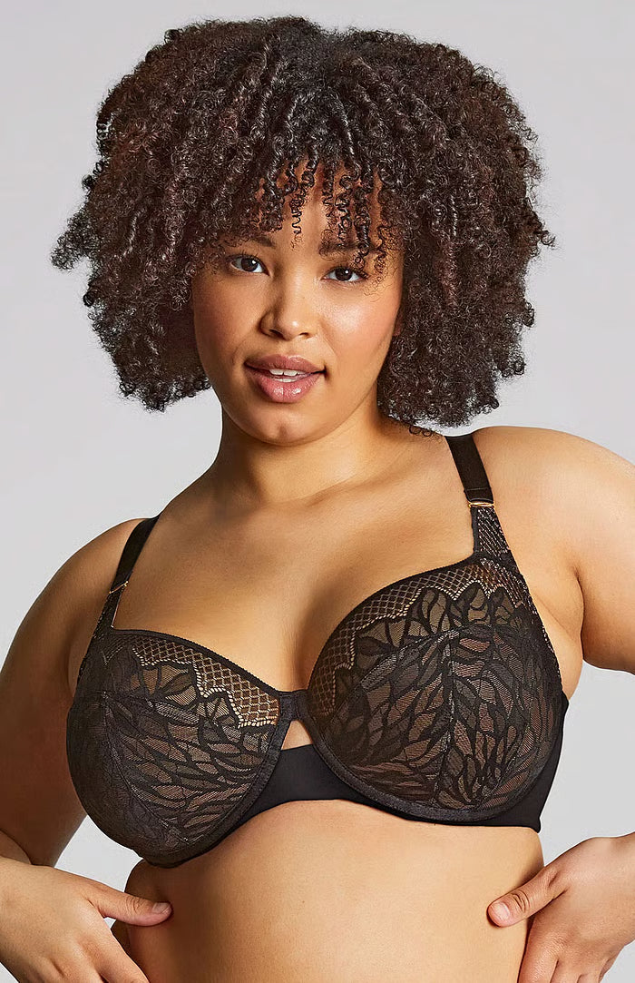11195 PANACHE SOPHIA fULLCUP